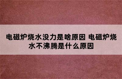 电磁炉烧水没力是啥原因 电磁炉烧水不沸腾是什么原因